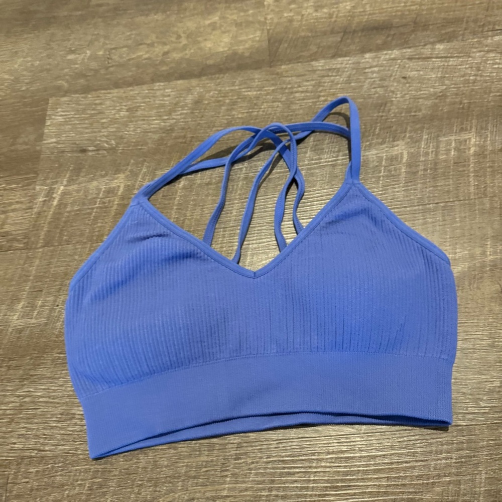 Aerie Blue Sports Bra